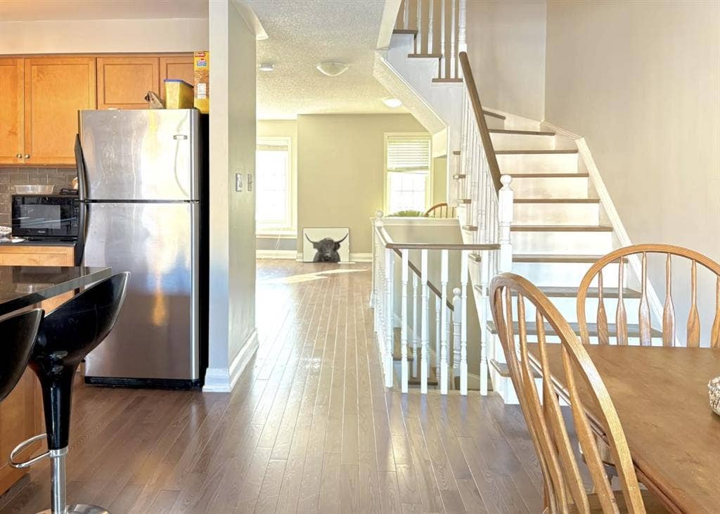 Large Master Bedroom for Rent