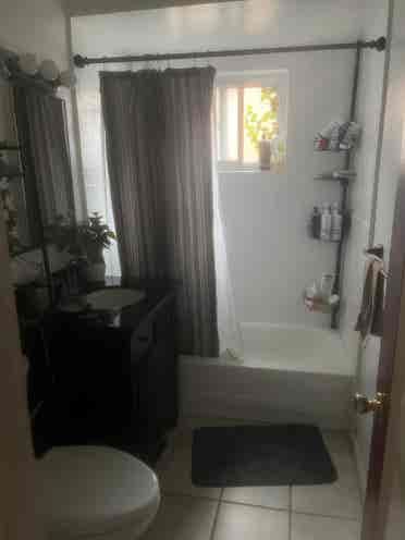 UNM/NOB HILL Room for rent