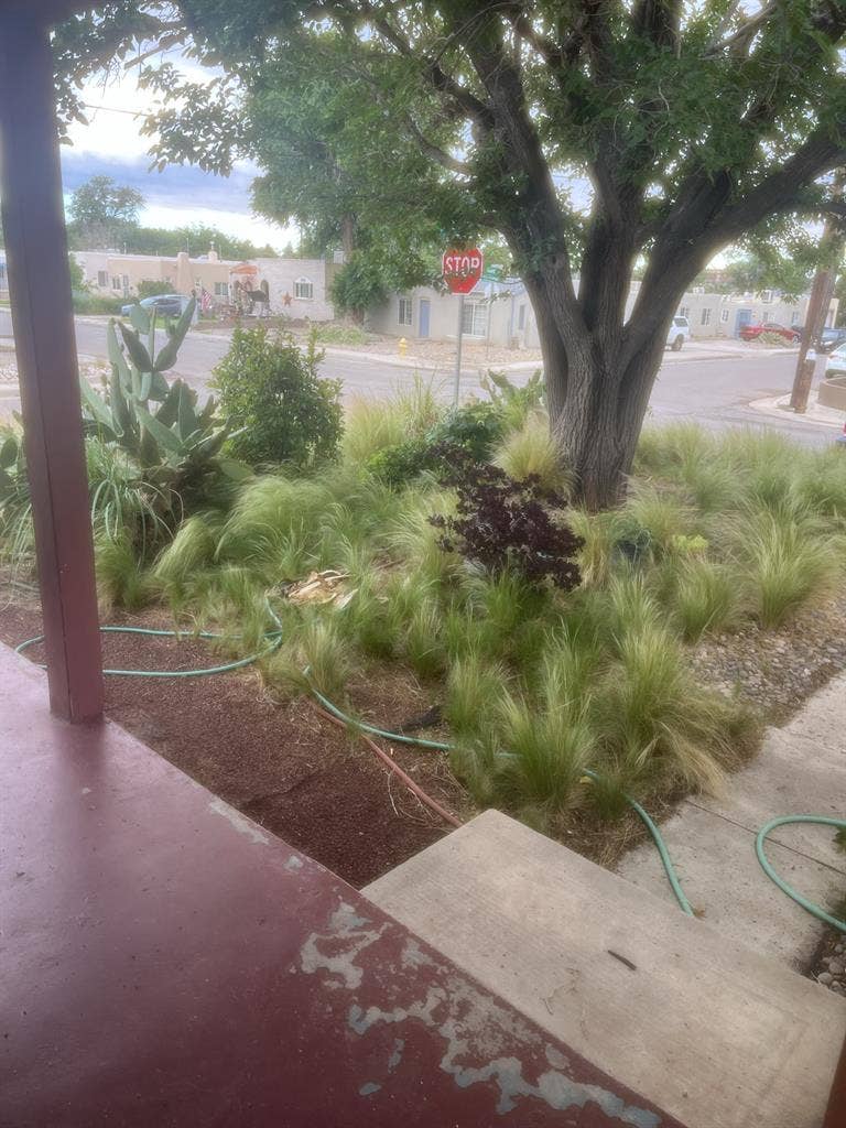 UNM/NOB HILL Room for rent