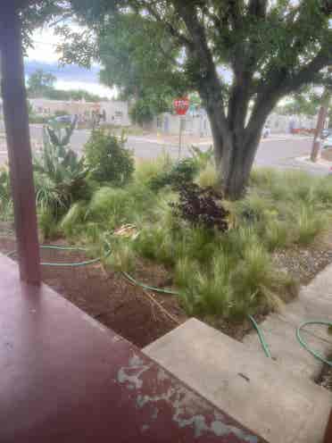 UNM/NOB HILL Room for rent