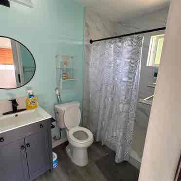 Looking for a roommate!