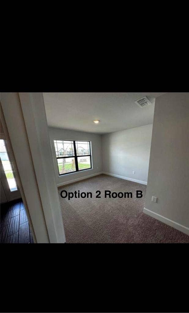 Looking for Roommate(s)