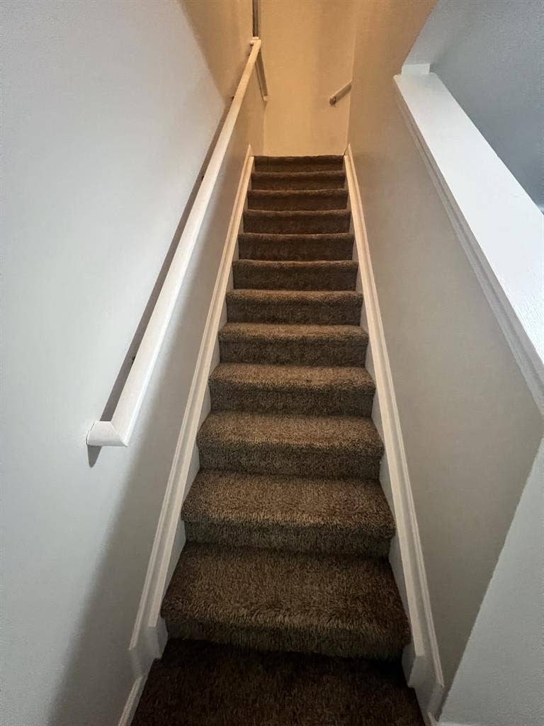 Looking for a female roommate