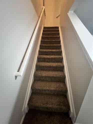 Looking for a female roommate