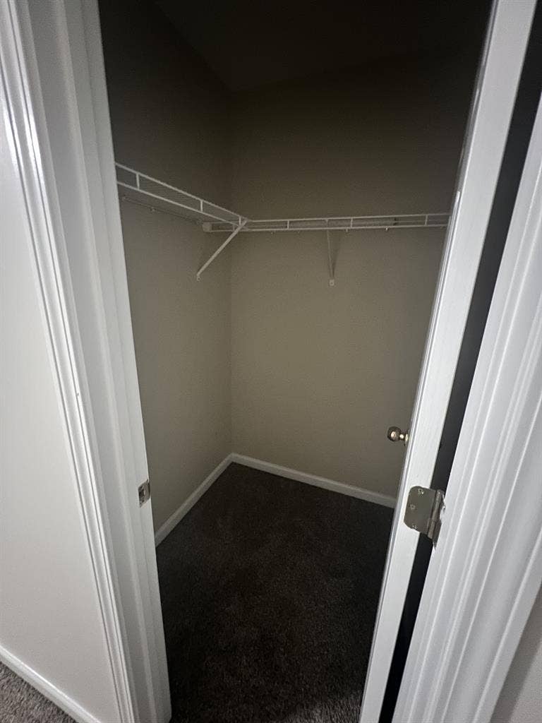 Looking for a female roommate