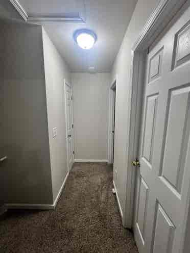 Looking for a female roommate