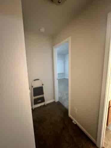 Looking for a female roommate