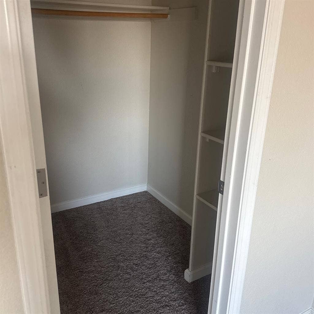 Looking for a roommate