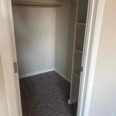 Looking for a roommate
