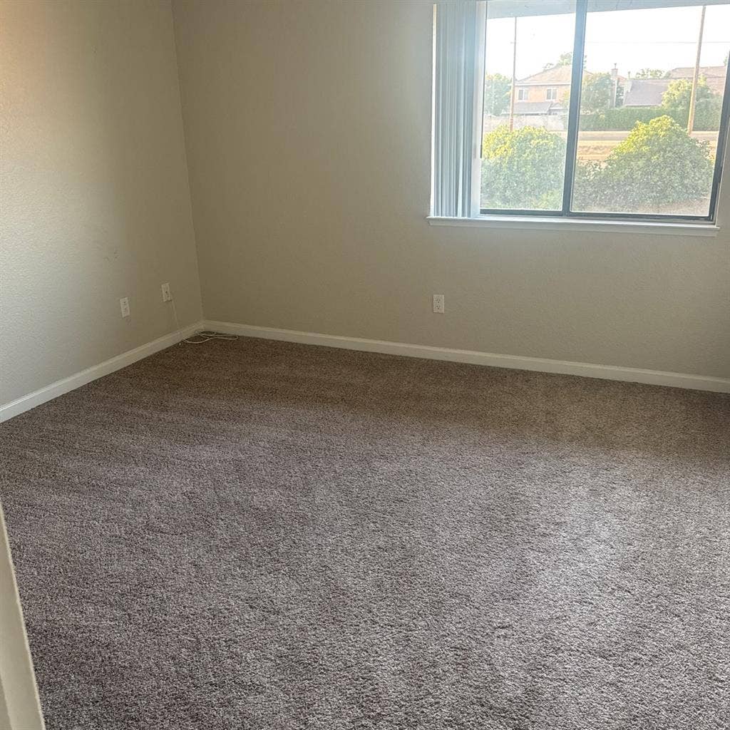 Looking for a roommate