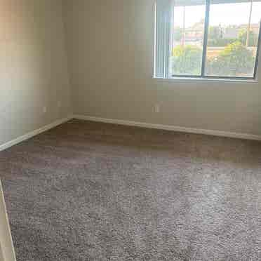 Looking for a roommate