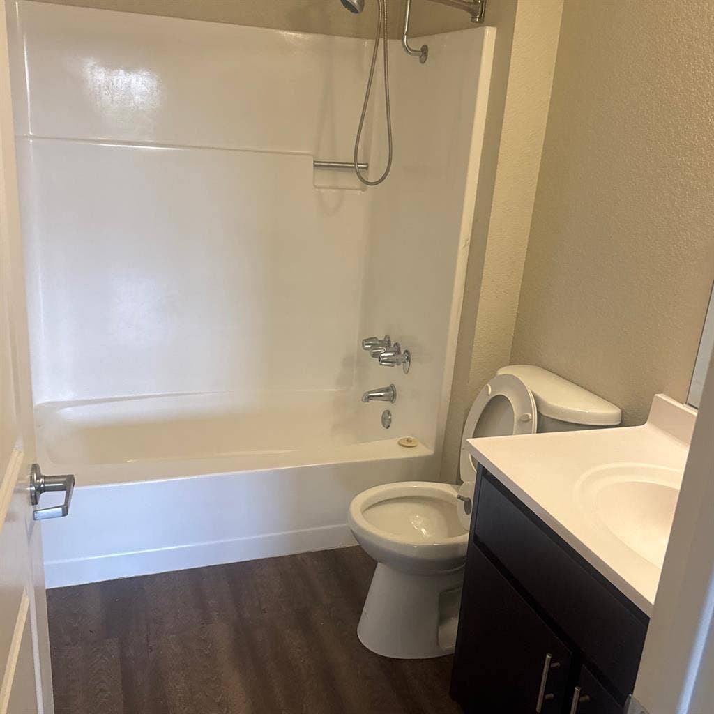 Looking for a roommate