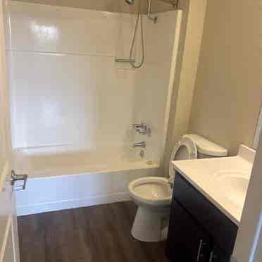 Looking for a roommate