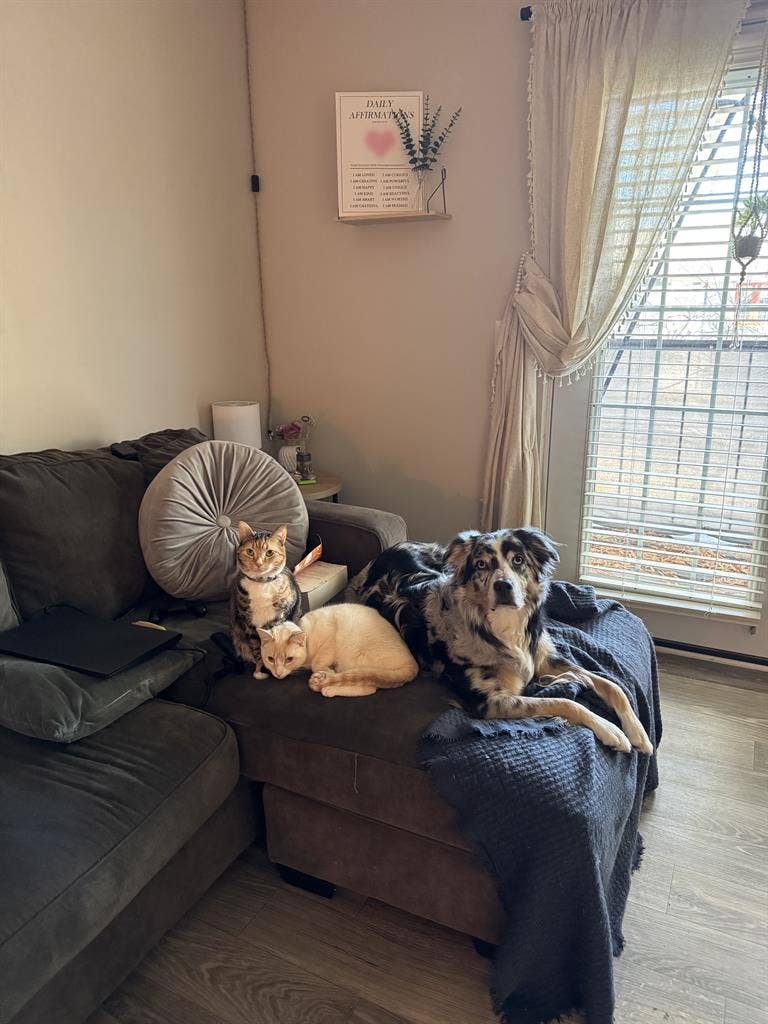 Looking for a female roommate!