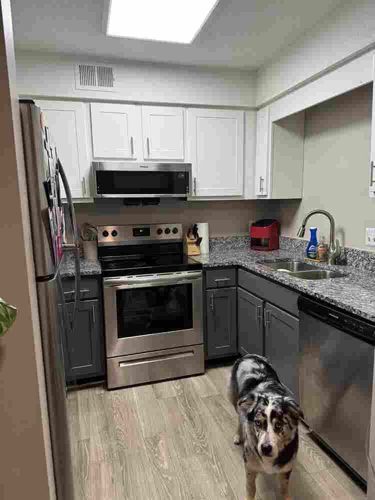 Looking for a female roommate!