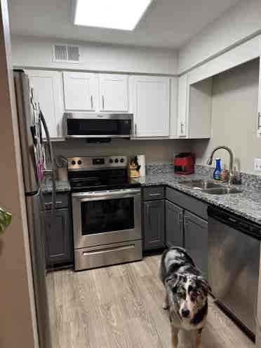 Looking for a female roommate!