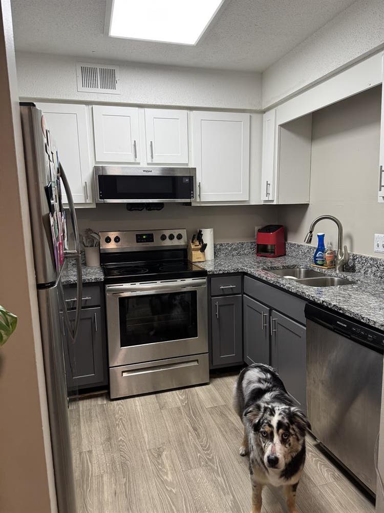 Looking for a female roommate!