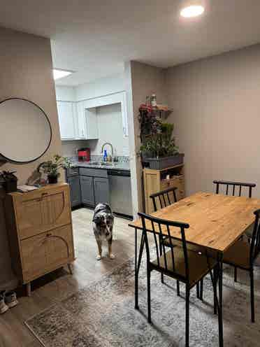 Looking for a female roommate!