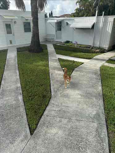 quite area for girls