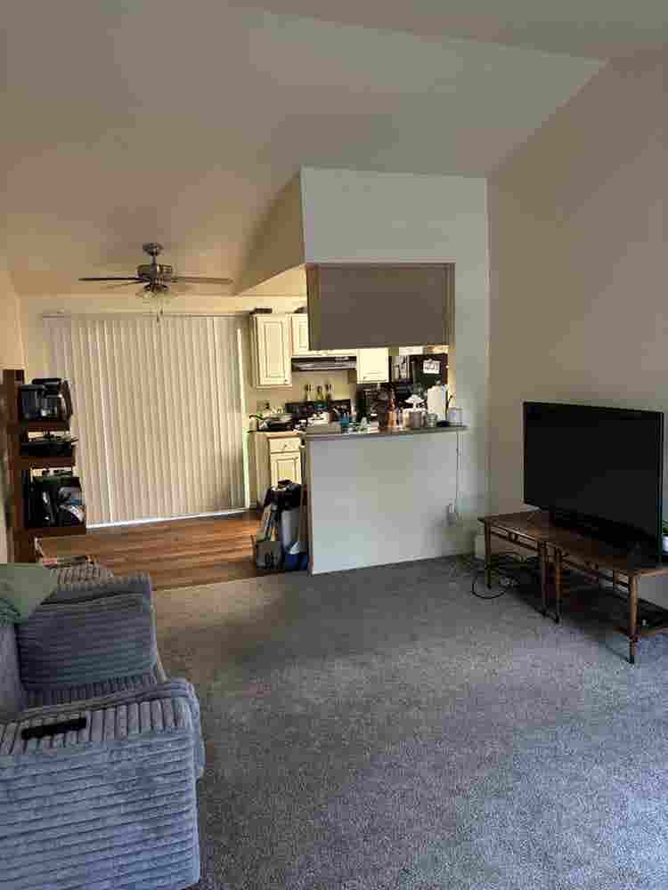 Looking for lgbt friendly roommate