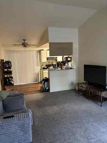 Looking for lgbt friendly roommate