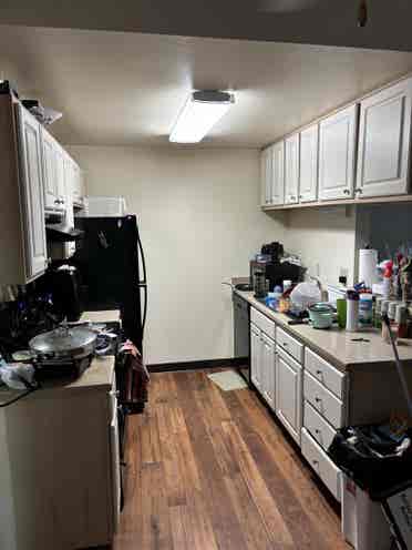 Looking for lgbt friendly roommate