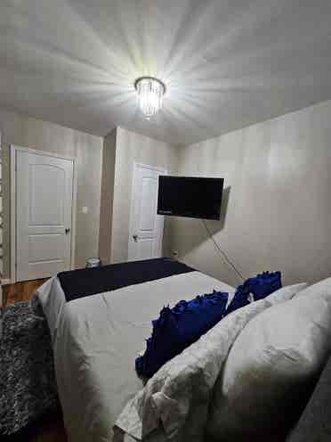 Brand new furnished room $