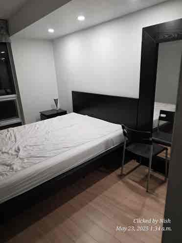Roommate wanted