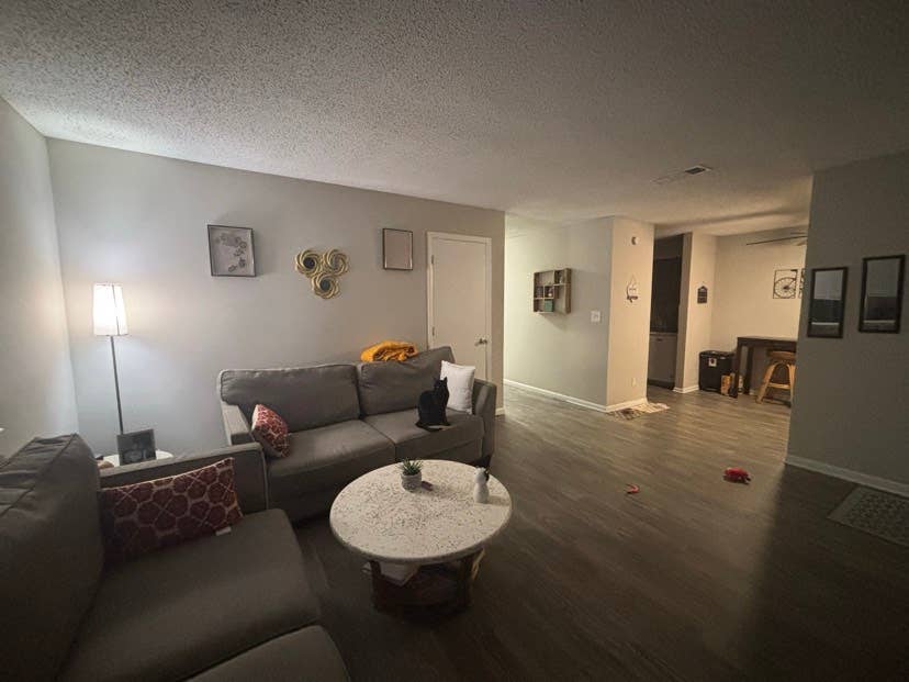 Cozy apartment