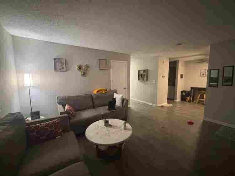 Cozy apartment