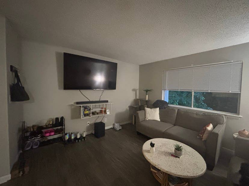 Cozy apartment