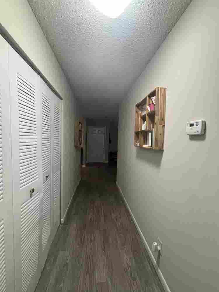 Cozy apartment