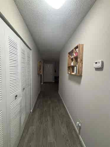 Cozy apartment