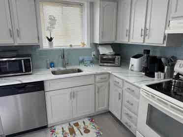Oceanview 2bbrm condo winterrental