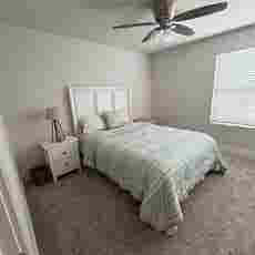 In need of 2 roommates
