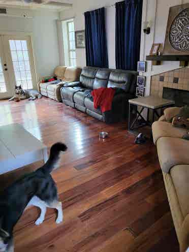Fully furnished room for rent
