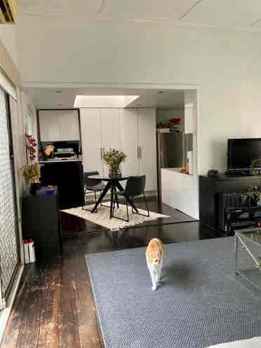 Mascot - queen sized 
room