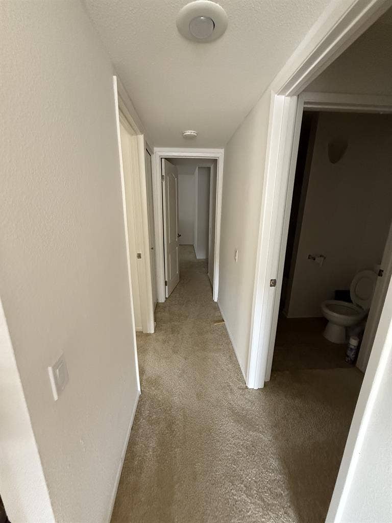 Room for Rent in Irvine, $/mo
