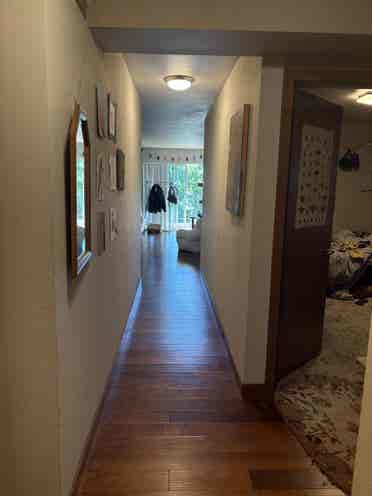 Looking for two roommates!