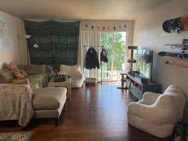 Looking for two roommates!