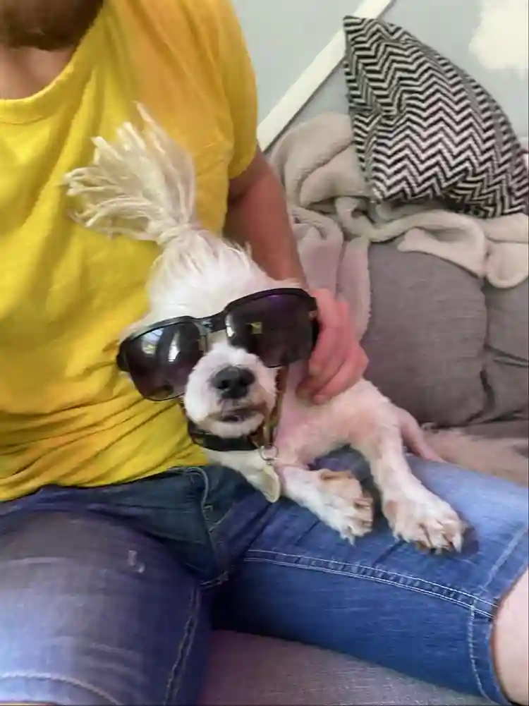 Shared Studio in middle of SoBe!