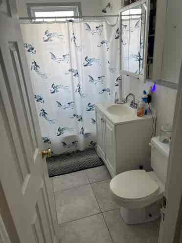 Female only. Room in Brookline.