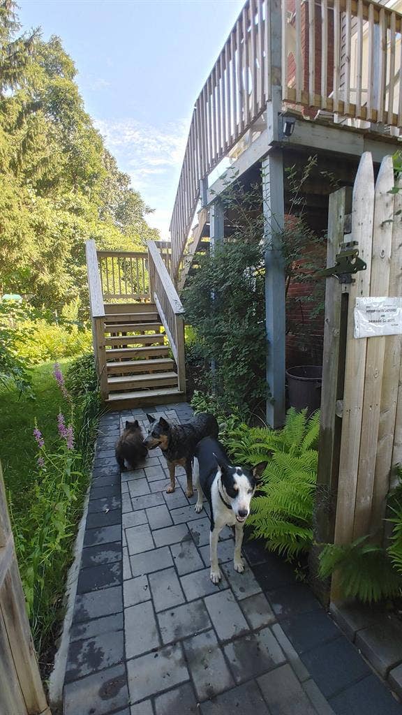 Furnshd Rm ~ 2 miles SUNY SB NY