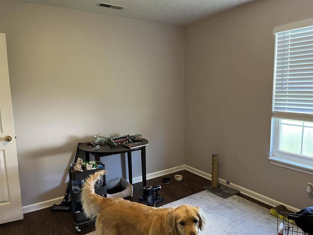 Need someone to take over my lease!