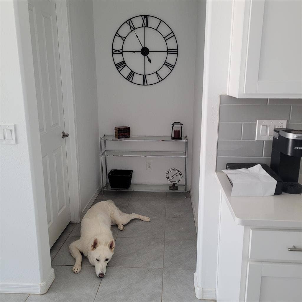 Female (+) one room in new house