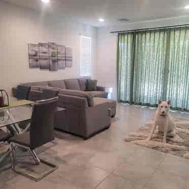 Female (+) one room in new house