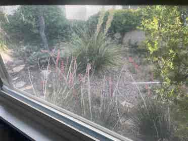 Furnished Room in NE ABQ - July 1st
