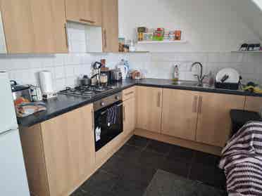 Roommate needed in 2 bed flat