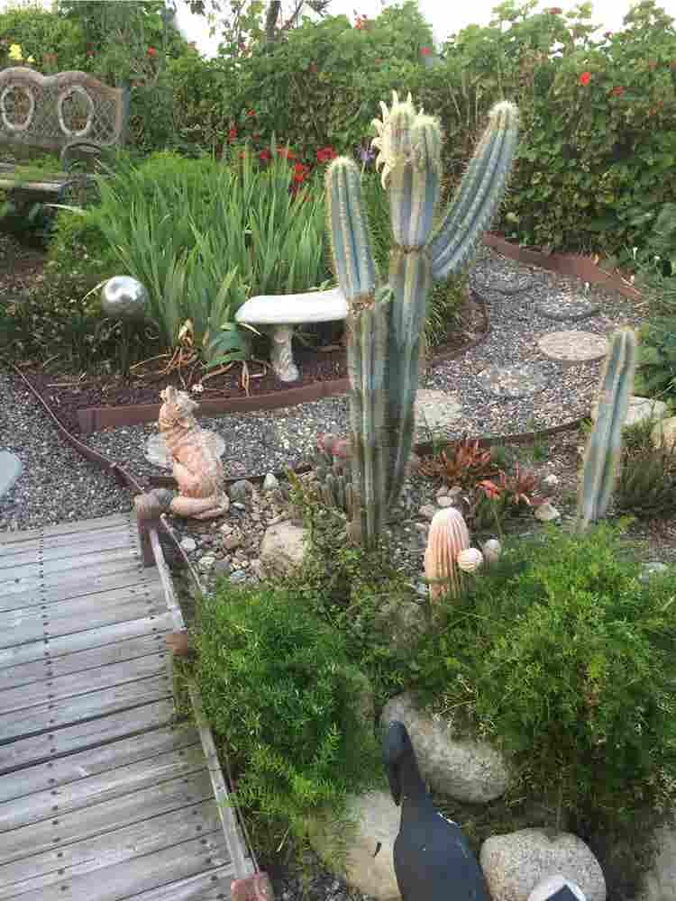 Room available in Redlands August 1