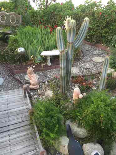 Room available in Redlands August 1